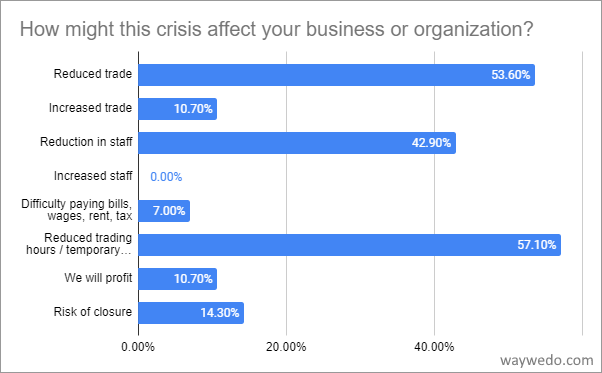 How might the crisis affect your business or organization?