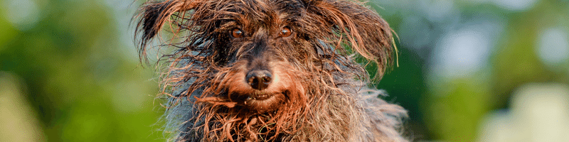 Choosing the wrong leading indicators is like having a bad hair cut