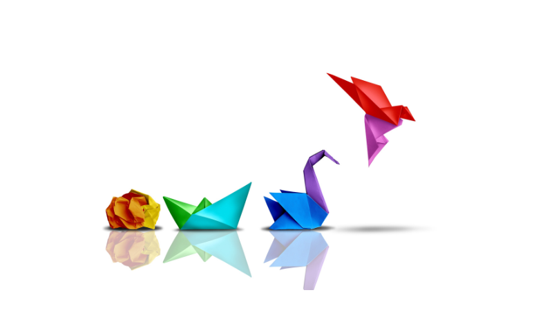 Change and Transformation at Way We Do